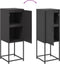 vidaXL - Hoge - kast - 36x39x107 - cm - staal - zwart