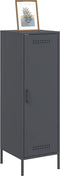 vidaXL - Hoge - kast - 36x39x113 - cm - staal - antracietkleurig