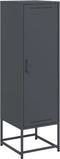 vidaXL - Hoge - kast - 36x39x123 - cm - staal - antracietkleurig