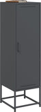 vidaXL - Hoge - kast - 36x39x123 - cm - staal - antracietkleurig