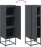 vidaXL - Hoge - kast - 36x39x123 - cm - staal - antracietkleurig