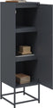 vidaXL - Hoge - kast - 36x39x123 - cm - staal - antracietkleurig