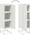 vidaXL - Hoge - kast - 36x39x123 - cm - staal - wit