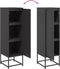 vidaXL - Hoge - kast - 36x39x123 - cm - staal - zwart