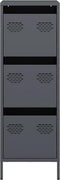 vidaXL - Hoge - kast - 39x35x103,5 - cm - staal - antracietkleurig