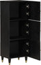 vidaXL - Hoge - kast - 40x33x110 - cm - massief - mangohout