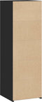 vidaXL - Hoge - kast - 40x41x124 - cm - bewerkt - hout - zwart