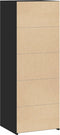 vidaXL - Hoge - kast - 45x41x124 - cm - bewerkt - hout - zwart
