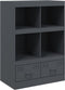 vidaXL - Hoge - kast - 67x39x95 - cm - staal - antracietkleurig