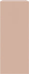 vidaXL - Hoge - kast - 67x39x95 - cm - staal - roze