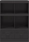 vidaXL - Hoge - kast - 67x39x95 - cm - staal - zwart