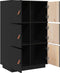 vidaXL - Hoge - kast - 67x40x108,5 - cm - massief - grenenhout - zwart