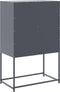vidaXL - Hoge - kast - 68,5x38,5x107 - cm - staal - antracietkleurig