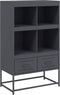 vidaXL - Hoge - kast - 68x39x111,5 - cm - staal - antracietkleurig
