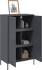 vidaXL - Hoge - kast - 68x39x113 - cm - staal - antracietkleurig