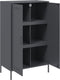 vidaXL - Hoge - kast - 68x39x113 - cm - staal - antracietkleurig