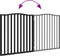 vidaXL - Hondenhek - inklapbaar - 2 - panelen - 160 - cm - populierenhout - zwart