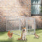 vidaXL - Hondenkennel - voor - buiten - 100x200x100 - cm