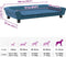 vidaXL - Hondenmand - 100x50x21 - cm - fluweel - blauw
