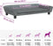 vidaXL - Hondenmand - 100x50x21 - cm - fluweel - donkergrijs