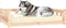 vidaXL - Hondenmand - 105,5x75,5x28 - cm - massief - grenenhout