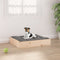 vidaXL - Hondenmand - 51,5x44x9 - cm - massief - grenenhout
