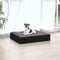 vidaXL - Hondenmand - 51,5x44x9 - cm - massief - grenenhout - zwart