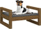 vidaXL - Hondenmand - 55,5x45,5x28 - cm - massief - grenenhout - honingbruin