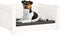 vidaXL - Hondenmand - 55,5x45,5x28 - cm - massief - grenenhout - wit