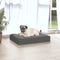 vidaXL - Hondenmand - 61,5x49x9 - cm - massief - grenenhout - grijs