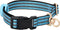 vidaXL - Hondentuigje - met - riem - en - halsband - verstelbaar - XL - blauw