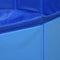 vidaXL - Hondenzwembad - inklapbaar - 120x30 - cm - PVC - blauw