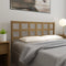 vidaXL - Hoofdbord - 156x4x100 - cm - massief - grenenhout - honingbruin