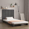 vidaXL - Hoofdbord - wandmontage - 146x3x91,5 - cm - massief - grenenhout - grijs