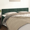 vidaXL - Hoofdborden - 2 - st - 100x5x78/88 - cm - fluweel - donkergroen