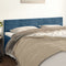 vidaXL - Hoofdborden - 2 - st - 100x5x78/88 - cm - fluweel - donkerblauw