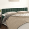 vidaXL - Hoofdborden - 2 - st - 100x5x78/88 - cm - fluweel - donkergroen