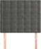 vidaXL - Hoofdborden - 2 - st - 100x5x78/88 - cm - fluweel - donkergrijs
