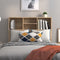 vidaXL - Hoofdbordkast - 100x19x103,5 - cm - sonoma - eikenkleurig