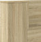 vidaXL - Hoofdbordkast - met - LED - 200x16,5x103,5 - cm - sonoma - eikenkleurig