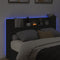 vidaXL - Hoofdbordkast - met - LED-verlichting - 160x16,5x103,5 - cm - zwart