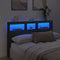 vidaXL - Hoofdbordkast - met - LED-verlichting - 160x17x102 - cm - zwart