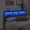 vidaXL - Hoofdbordkast - met - LED-verlichting - 160x17x102 - cm - grijs - sonoma