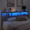 vidaXL - Hoofdbordkast - met - LED-verlichting - 220x17x102 - cm - betongrijs