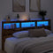 vidaXL - Hoofdbordkast - met - LED-verlichting - 220x17x102 - cm - gerookt - eiken