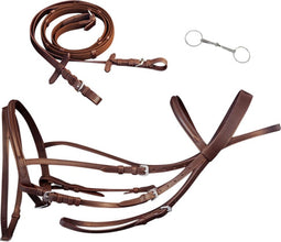 vidaXL - Hoofdstel - leer - met - gecombineerde - neusriem, - teugels - en - bit - bruin - cob