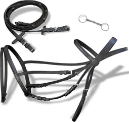 vidaXL - Hoofdstel - leer - met - gecombineerde - neusriem, - teugels - en - bit - zwart - cob