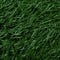 vidaXL - Huisdierentoilet - met - bak - en - kunstgras - 63x50x7 - cm - groen