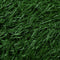 vidaXL - Huisdierentoiletten - 2 - st - met - bak - en - kunstgras - 63x50x7 - cm - groen