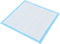 vidaXL - Huisdierentrainingsdoekjes - 100 - st - 60x60 - cm - nonwoven - stof